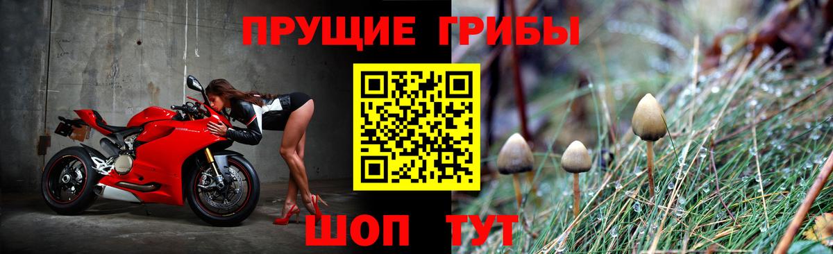 Псилоцибиновые грибы Psilocybine cubensis  Псилоцибиновые грибы Psilocybe  Кызыл  Вход с VPN 